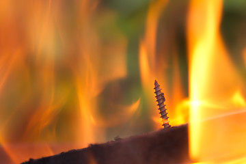 Image showing Burning fire close-up