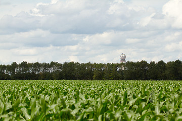 Image showing Radio Television Tower collapsed