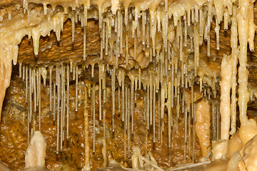 Image showing Hanging waterdrops in a cave