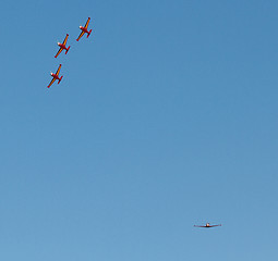 Image showing Belgium Red Devils 