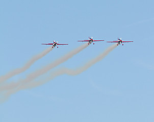 Image showing Royal Jordanian Falcons