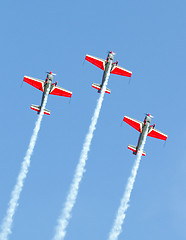 Image showing Royal Jordanian Falcons