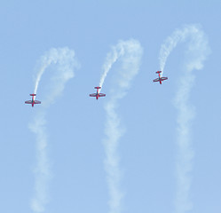 Image showing Royal Jordanian Falcons