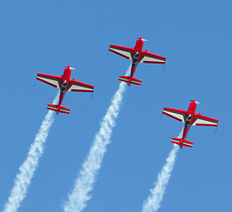 Image showing Royal Jordanian Falcons