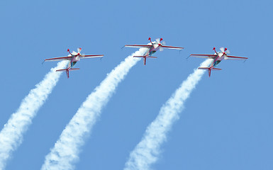 Image showing Royal Jordanian Falcons