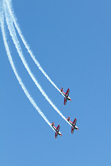 Image showing Royal Jordanian Falcons