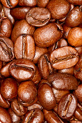 Image showing Coffee beans