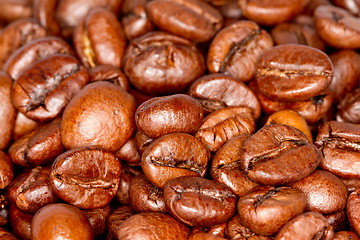 Image showing Coffee beans