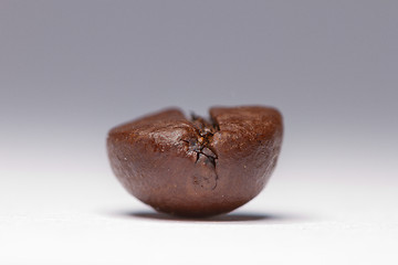 Image showing One coffee bean 