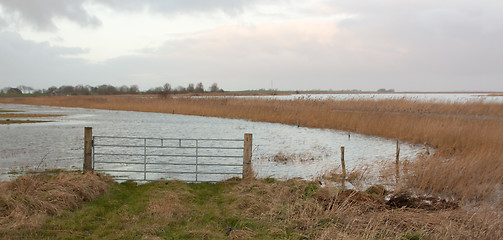 Image showing Flooding in Holland