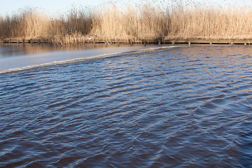 Image showing The waters are slowly freezing