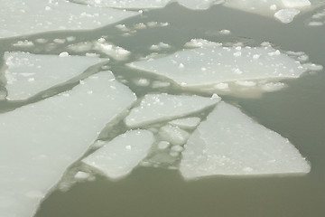 Image showing Ice in a harbour