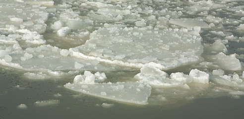 Image showing Ice in a harbour