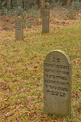 Image showing An old jewish graveyard