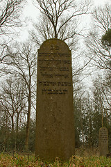 Image showing An old jewish graveyard