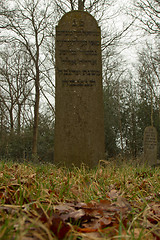 Image showing An old jewish graveyard