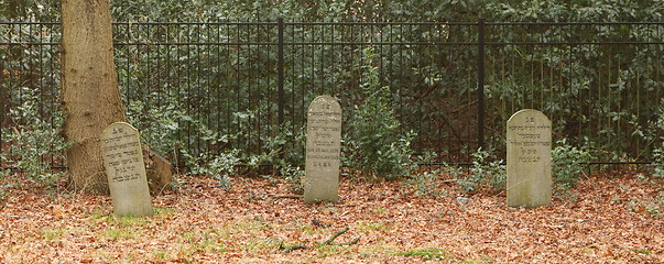 Image showing An old jewish graveyard