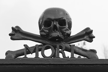 Image showing A skull at a graveyard 