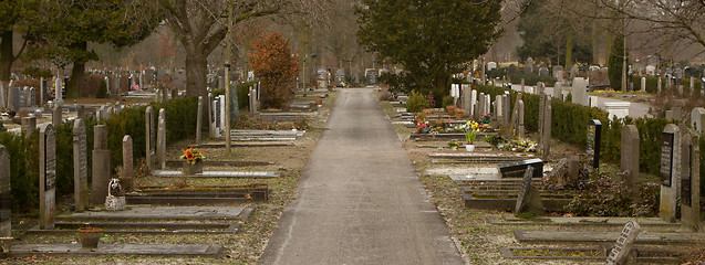 Image showing An new graveyard