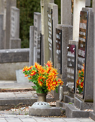 Image showing Fresh flowers on a grave