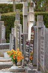 Image showing Fresh flowers on a grave
