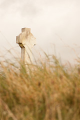 Image showing A gravestone on a Irish graveyard