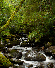 Image showing A waterfall in central Ireland