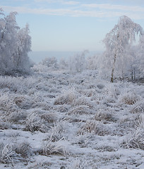 Image showing A landscape of ice