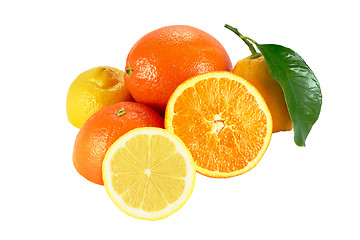 Image showing Oranges and lemons