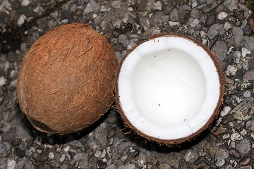 Image showing coconuts