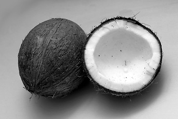 Image showing coconuts black and white