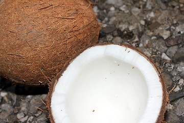 Image showing coconuts