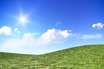 Image showing bright day in nature