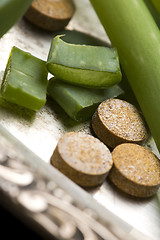 Image showing aloe vera plant with pills - herbal medicine