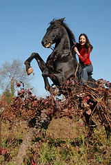 Image showing rearing stallion and happy girl