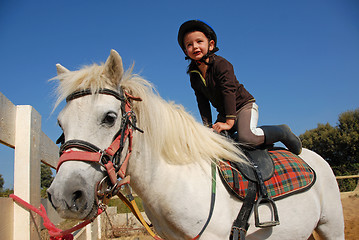 Image showing little girl and shetland