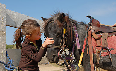 Image showing little girl and shetmand