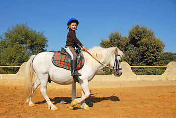 Image showing child and pony