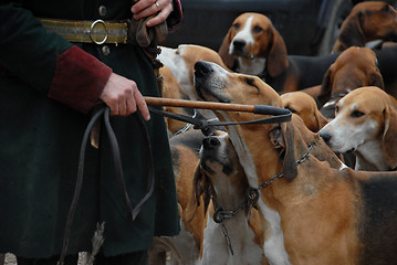 Image showing fox hunting