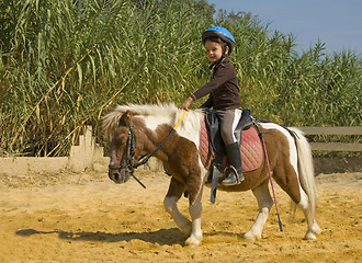 Image showing child and pony