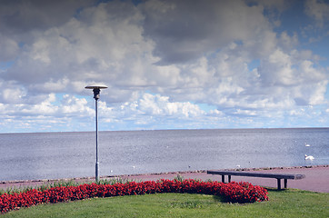 Image showing Park at lake.