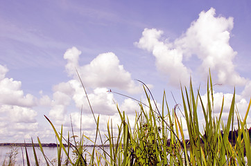 Image showing View of lake and sky.