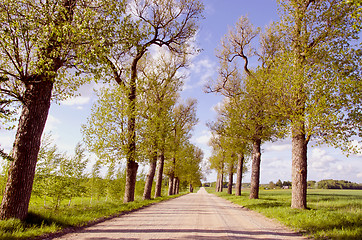 Image showing Dry gravel road.