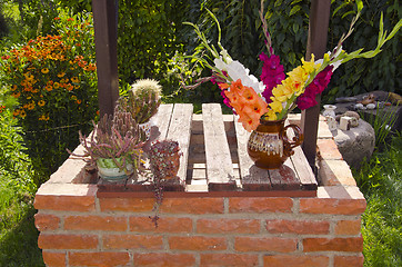 Image showing Cacti and flowes in vase.