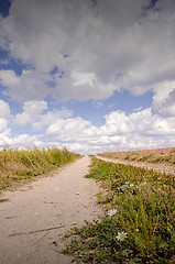 Image showing Rural gravel road.