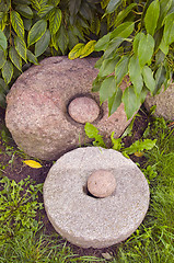 Image showing Burr with stone in hole.