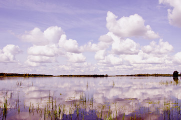 Image showing View of summer lake. 