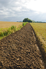 Image showing Freshly plowed field furrow.
