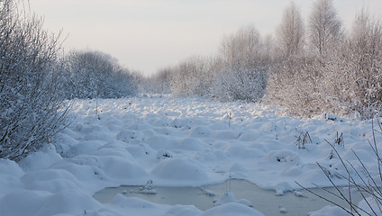 Image showing Abandoned meadows blizzard after in winter