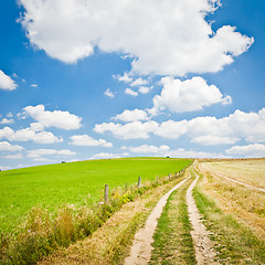 Image showing agriculture landscape